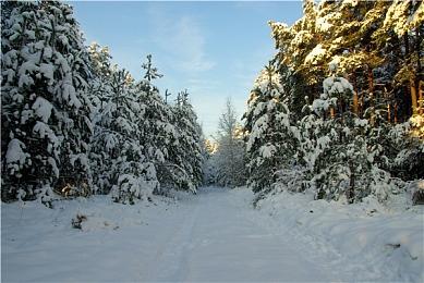 《喷射战士》诞生10周年 任天堂音乐初代新曲包上线